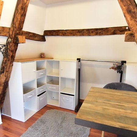 Le Duplex Carnot Apartamento Annecy Exterior foto