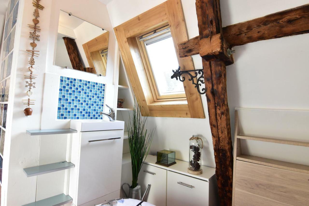 Le Duplex Carnot Apartamento Annecy Exterior foto
